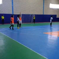 باشگاه هندبال ستارگان فردیس