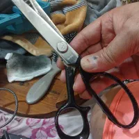 قیچی دالبرزنی ژاپن اصل