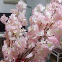 شکوفه گل مصنوعی|گل مصنوعی|بندر انزلی, ساحل قو|دیوار