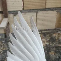 سینه آبی و سینه سیاه .لیلک شازدی|پرنده|شیراز, محراب|دیوار