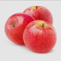 نهال سیب گالا