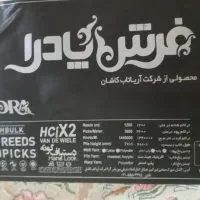 فرش ۹متری ۱۲۰۰شانه|فرش|دره شهر, |دیوار