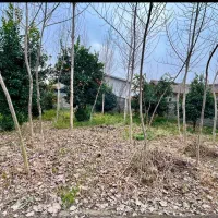 زمین-300م-قابل-ساخت-سنددار-انشعابات-سرملک-قسطی