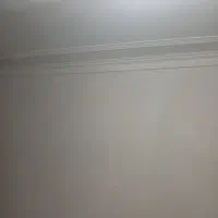 گچکاری و سفید کاری