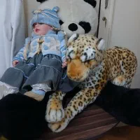 عروسک|اسباببازی|رشت, لاکانی|دیوار