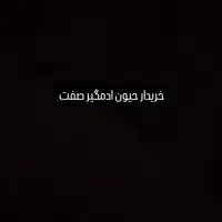 حیوانات و لوازم|سگ|ملایر, |دیوار