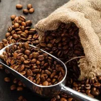 پذیرش نیروی کار|استخدام صنعتی، فنی، مهندسی|بجنورد, |دیوار