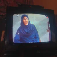 تلویزیون پارس و دیجیتال