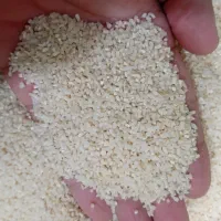 نیم دانه دودی صدری