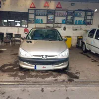 ۲۰۶ تمیز و بی خرج