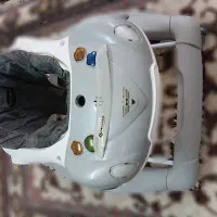 روروئک دلیجان