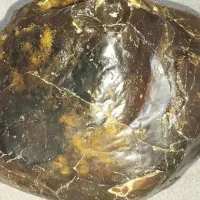 سنگ کمیاب . سنگ کهربا