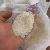 برنج هاشمی خانگی|خوردنی و آشامیدنی|واجارگاه, |دیوار