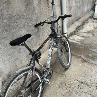 دوچرخه حرفه ای|دوچرخه، اسکیت، اسکوتر|بانه, |دیوار