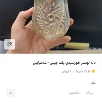 لاله لوستر|لوستر و چراغ آویز|اسلام‌شهر, شهرک قائمیه|دیوار