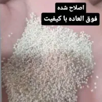 بذر اصلاح شده موجوده|گل و گیاه طبیعی|ایرانشهر, |دیوار