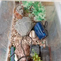 آکواریوم ماهی شیشهای|ماهی|گلبهار, شهر جدید گلبهار|دیوار