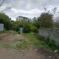 زمین مسکونی در ساری شهر هولار|فروش زمین و ملک کلنگی|پایین هولار, |دیوار