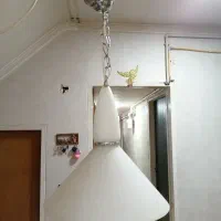 دو عدد لوستر تک شعله