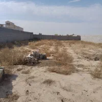 1250متر دور دیوار بانهال پسته