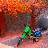 موتور صفر کیلومتر تریل