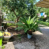 اجاره روزانه/هفتگی/ماهانه آپارتمان ۳۰ متری|اجارهٔ کوتاهمدت آپارتمان و سوئیت|چاف و چمخاله, |دیوار