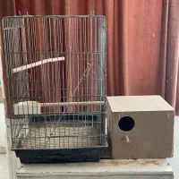 فروش گرینچیک|پرنده|هشتگرد, هشتگرد قدیم|دیوار