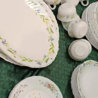 آرکوپال امارات