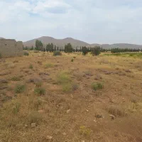 هزار متر زمین باغ انگور  سر دو راهی بردج|فروش زمین و ملک کلنگی|شیراز, داریون|دیوار