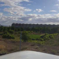 فروش یک واحد مرغداری گوشتی( فقط فروش)