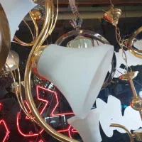 لوستر دوشاخه مرغابی|لوستر و چراغ آویز|تبریز, |دیوار