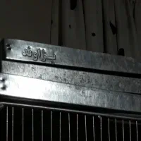 جوجه پران|لوازم جانبی حیوانات|تهران, خانی آباد نو شمالی|دیوار