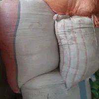 کاه جو