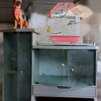 حراج لوازم خانه یخچال فرش|یخچال و فریزر|برازجان, |دیوار