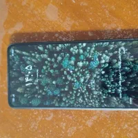 گوشی شیامی poco