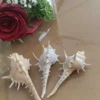 تزیینی|صنایع دستی و سایر لوازم تزئینی|جهرم, |دیوار