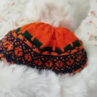 کلاه زمستونی|لباس|تهران, هفده شهریور|دیوار