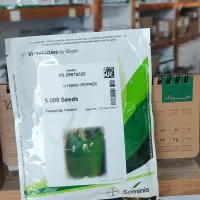 بذر خیار سمینیس اصل|خدمات باغبانی و درختکاری|اصفهان, بهارستان|دیوار