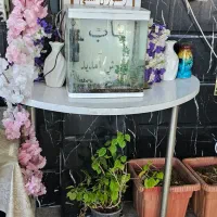 استخدام نیروی گارسون و نظافت