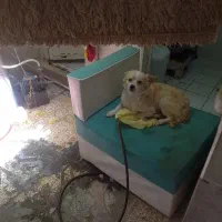 سرگرمی وفراغت