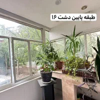 اجاره سوییت روزانه|اجارهٔ کوتاه‌مدت آپارتمان و سوئیت|دماوند, دماوند|دیوار