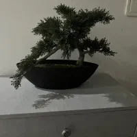 بن سای مصنوعی|گل مصنوعی|اندیشه, اندیشه فاز ۱|دیوار