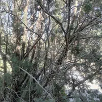 هوایی ۹۲ متری در شهرک ابوذر