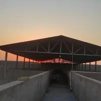 اجاره مزرعه «شتر مرغ ۷۰۰۰»