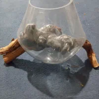 بلور با پایه چوب