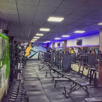 فروش تجهیزات بدنسازی|تجهیزات ورزشی|رشت, کاکتوس|دیوار