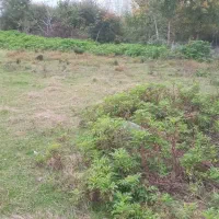 7000-متری-سند-دار-500-متر-مسکونی-با-امتیازات