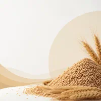 سبوس گندم، بدون واسطه، مستقیم از درب کارخانه