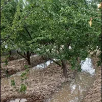 330متر-زمین-بر-اتوبان-ساوه-33-10