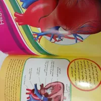 دایرةالمعارف بدن انسان|کتاب و مجله آموزشی|شهرضا, |دیوار